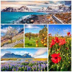 Poster - Spring collage. Set of beautiful spring landscapes arranged in a square. Wonderful outdoor scene of mountains, countryside abd blooming valleys. Beauty of nature concept background.