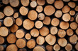 Brennholz Forst Holztapel Baumstamm - Generative AI