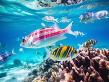 Great Barrier Reef, Colorful Fishes Silver With Holographic Gradients, AI Generated