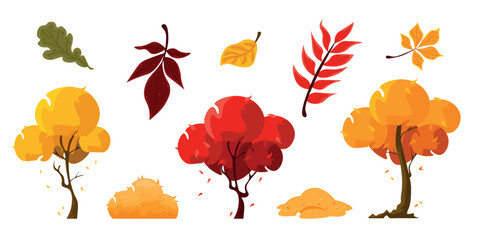 Set of beautiful autumn trees, bushes and leaves in cartoon style. Vector illustration of yellow, red, green, orange leaves: oak, poplar, ash, chestnut and various trees with falling leaves, bushes.