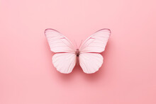 White Butterfly On A Pink Background. Is Surrounded By Beautiful Petals, Which Create A Vivid And Contrast With Its Snowy Wings