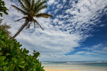 Sticker - Hawaiian beach