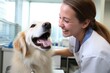 a beautiful female vet nurse doctor examining a cute happy golden retriever dog making medical tests in a veterinary clinic. animal pet health checkup. Generative AI