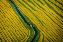 Aerial View Of The Yellow Flower Fields In The Canton During Spring