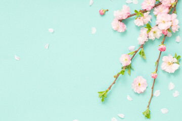 Wall Mural - branches of blossoming almonds on green background