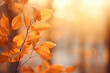 © Firn - Beautiful autumn nature background with orange leaves on tree and blurry background with sunlight and bokeh
