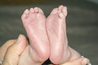 Legs of a newborn baby. Children's small feet. A baby's legs in the hands of an adult