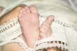 The legs of a newborn baby in a white cloth. Wrapped baby's little feet
