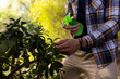 © Wavebreak Media - Midsection of indian man watering plants in sunny garden, copy space