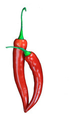 Wall Mural - red hot chili peppers isolated on transparent background, PNG.