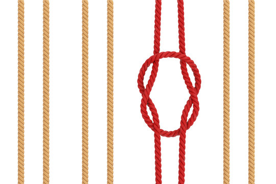 Row of Rope and  One Red Rope with Reef Square Knot. 3d Rendering