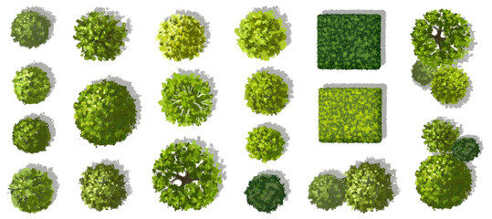 Wall Mural - vector set of top view green tree for outdoor plan or map and architecture drawing, watercolor eleme