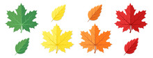 Red, Green, Yellow And Orange Autumn Leaves Isolated On White Background.
