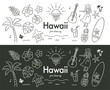 ハワイ南国手描き色々モノクロ