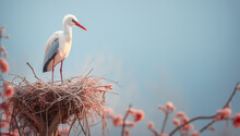 Stork On Top Of The Nest. AI Generated