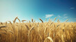 © Md. - Beautiful Wheat filed shot and sunny day with blue sky with generative ai