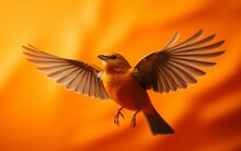 Orange Bird Flying On Solid Orange Background. Generative Ai