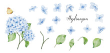 Set Of Blossom And Leaf Elements Of Watercolor Blue Hydrangea Bouquet And Butterfly