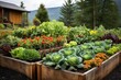 raised vegetable beds with a variety of produce