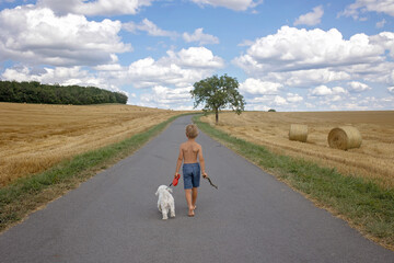 Wall Mural - Beautiful blond child, boy, walking on rural road with his sweet little maltese pet dog. Amazing landscape, rural scene with clouds, tree and empty road summertime, fields of haystack next to the road