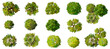 © pimchanok - set of green leaves, Vector set of Top view green tree for outdoor plan or map and architecture drawing, elements for environment and garden,botanical elements ,blooming flowers in spring