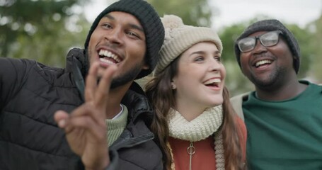 Poster - Selfie, camping and peace sign with friends in nature for social media, adventure and relax. Happy, smile and support with group of people and profile picture for online, travel and vacation trip