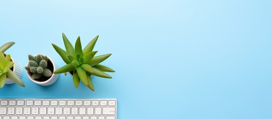 Leinwandbilder - A notebook with a keyboard, mouse, and cactus is seen on a blue background, isolated, with copy space.
