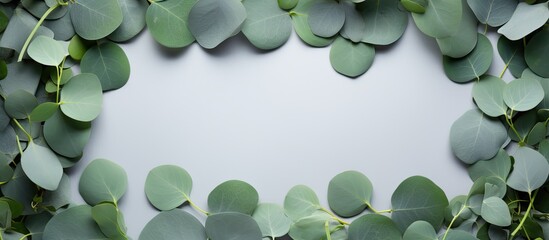Aufkleber - green eucalyptus leaves arranged on a stone table with a frame made of eucalyptus branches. captured