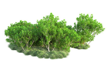 Green landscape isolated on transparent background. 3d rendering - illustration