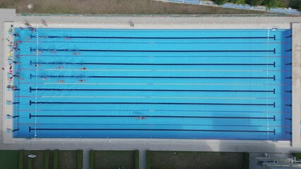 Wall Mural - From above, you can see a group of swimmers training in a sports pool.