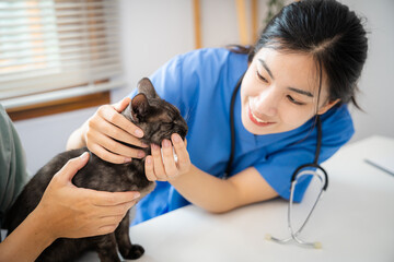 Professional vet doctor helps cat. owner cat holding pet on hands. Cat on examination table of veterinarian clinic. Veterinary care. Vet doctor and cat