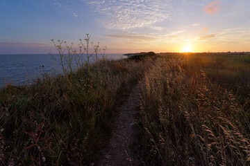 Wall Mural - Coastal path on  the The Pertuis Breton cliffs in Charente Maritime coast