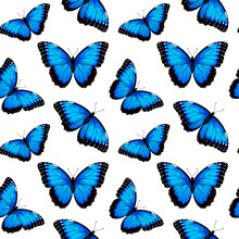 Seamless Pattern With Blue Morpho Butterflies, Vector Illustration