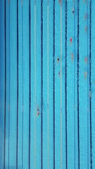 Wall Mural - From above, you can see a group of swimmers training in a sports pool.