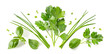 Fresh organic herbs and spices element or ornament  isolated over a transparent background, arranged bunches, leaves / blades and chopped pieces of parsley, chives, basil and mint, top view, flat lay