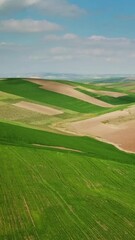 Wall Mural - Aerial landscape with hilly agricultural fields in Morocco, Africa. Vertical video