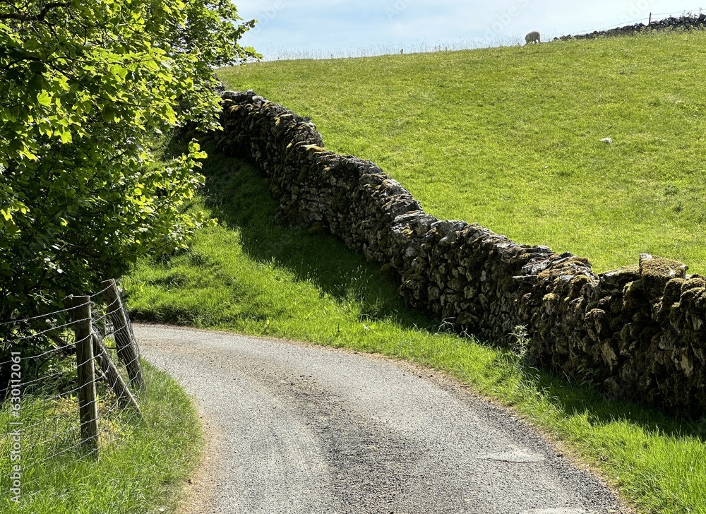 Slights Farm Rillington Rural Scene, approaching a bend on, Low Sleights, Road, with dry stone ...
