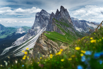 Drone view on Seceda peak. Trentino Alto Adige, Dolomites Alps, South Tyrol, Italy. Odle mountain range, Val Gardena. Majestic Furchetta peak. Odles group seen from Seceda, Santa Cristina Val Gardena.