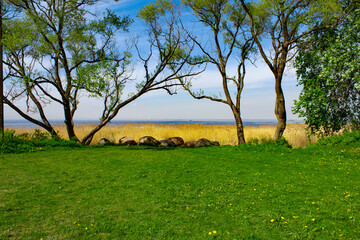 Landscape with trees