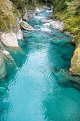 Wall Mural - Nestled among mature beech and podocarp forest, these pools of deep, clear water flowing into the Makarora River offer a moment of tranquillity. This is one of our best short walks