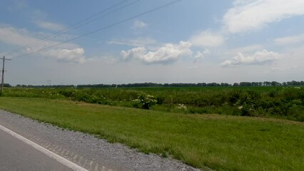 Sticker - Road Trip Through the Countryside. Traveling through rural farm country with open roads, big blue skies, and rows of corn and soybean crops. A rural slice of life, located in Southern Illinois, USA.