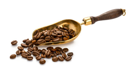 Scoop of coffee beans. Coffee beans in scoop isolated.