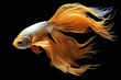 © Ирина Рычко - fish with beautiful tail isolated on black. ai generated