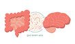 © LanaSham - Gut-brain axis and microbiome concept. Enteric nervous system in human body, small and large intestine. Signals from brain to digestive tract. Colon, bowel and cerebrum flat vector illustration