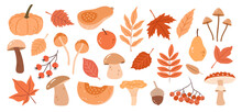 Vector Set Of Hand-drawn Autumn Plants, Leaves, Pumpkins, Mushrooms