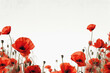 poppy flowers on white background, border background with copy space. Generative AI