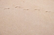 Foot prints on the sand , Beach scene . 
Texture background
