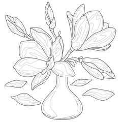 Wall Mural - Magnolias in a vase.Coloring page antistress for children and adults. Illustration isolated on white background.Zen-tangle style. Hand draw