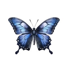 Wall Mural - Beautiful black-blue butterfly isolated on white background in watercolor style.