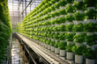 Shelves with young microgreens in pots at hydroponic farms. Generative AI